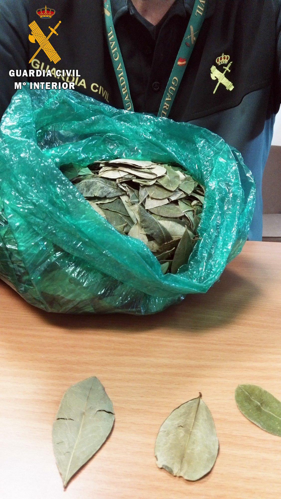 Le intervienen 411 gramos de hojas de coca y alega que es para tomarla