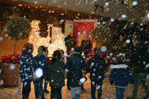 Nieva en el Museo de la Guitarra todos los días, a las 19 horas, en #AlmeríaEsNavidad