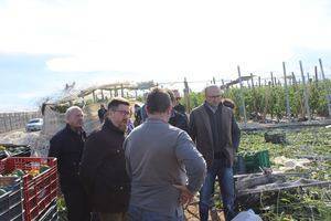 La Junta da su 'apoyo' sin cuantificar a los agricultores afectados por el tornado en el Poniente
