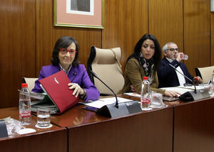 La Junta gastará este año tres millones en las sedes judiciales de Almería