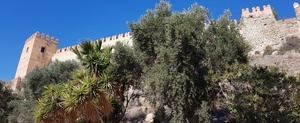 El Ayuntamiento de Almería aboga por un cambio en el modelo de gestión del conjunto monumental de la Alcazaba