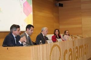 La nueva Ley andaluza de Discapacidad refuerza la inserción laboral del colectivo