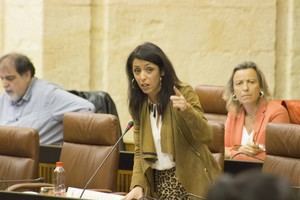 Ciudadanos que traiga ya un mapa de servicios sociales de la comunidad