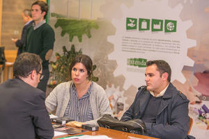 Solo los empresarios sevillanos confiaron su internacionalización más que los almerienses