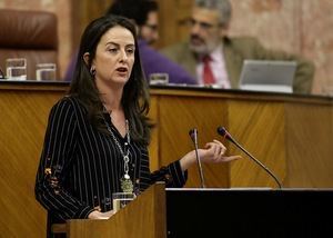 Martín: “La nueva reforma de la LOUA aprobada hoy en el Parlamento deja sin solución a las más de 20.000 viviendas fuera de ordenación en Almería”