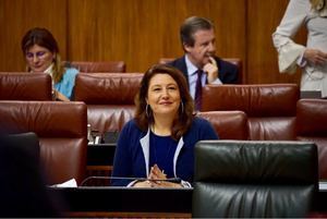 Crespo denuncia la “gestión ineficaz” de la Junta en Atención Temprana y pide “más inversión y mayor ejecución”