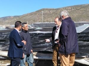 Ortiz Bono visita las zonas afectadas por el granizo en el Poniente almeriense