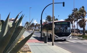 La bonificación del precio del bus comienza el 31 de enero