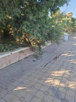 IU critica el estado de abandono del paseo marítimo de la Ribera