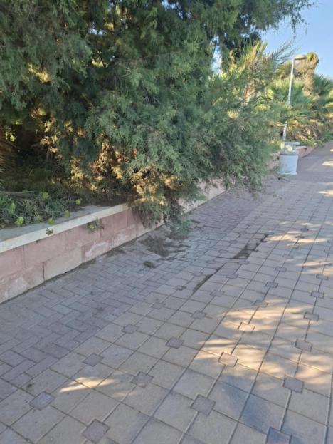 IU critica el estado de abandono del paseo marítimo de la Ribera