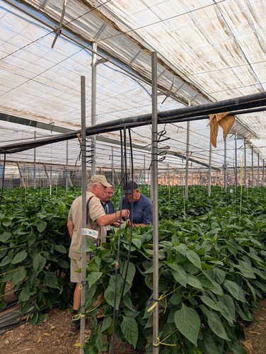 Visita de COEXPHAL a Dalías para apoyar a los agricultores