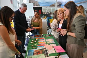 Ayuntamiento, Junta y Diputación aúnan esfuerzos en el Día Mundial de la Salud Mental