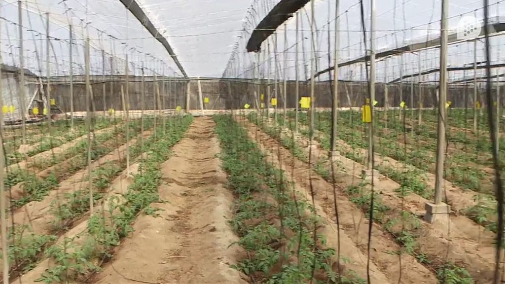 La Junta facilita el asesoramiento gratuito para agricultores y ganaderos