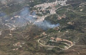 Extinguido el incendio forestal declarado en Bédar