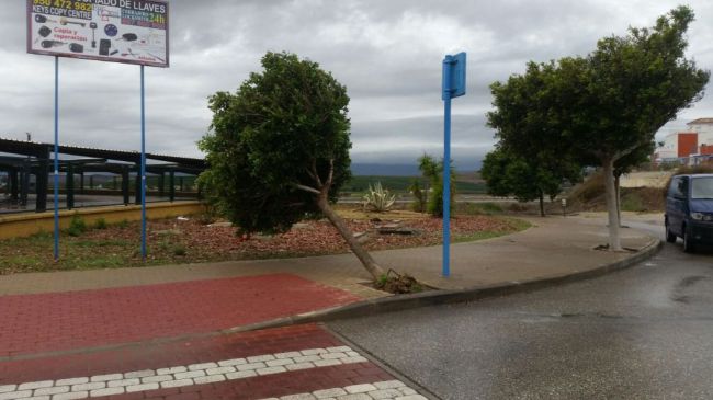 Aviso naranja por viento en Almería este domingo