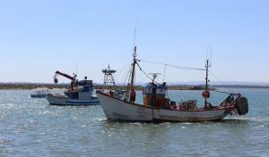 Crespo asegura que la Junta “defenderá a la flota andaluza de arrastre del Mediterráneo