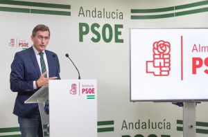 Sánchez Teruel (PSOE): "El pacto con UP es consecuencia lógica de lo votado"