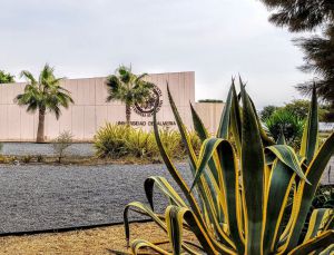 María Teresa Lao llevará a CienciaJazz las ‘nuevas fuentes de luz para la agricultura’