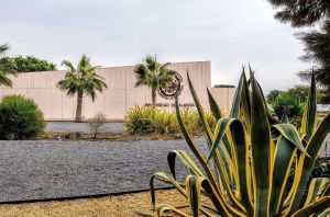 Velasco destaca el aumento de recursos para universidades en un 14% este año