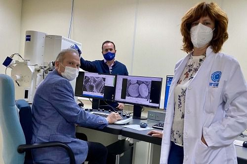 Nuevo Microscopio Electrónico de Barrido de Alta Resolución de Emisión de Campo en la UAL