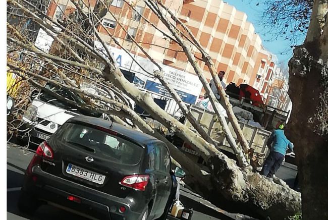 Aviso amarillo por vientos costeros en Almería