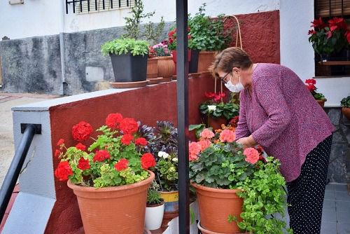 Punto Final A Las ‘Flores De Mayo’ En La Villa De Vícar