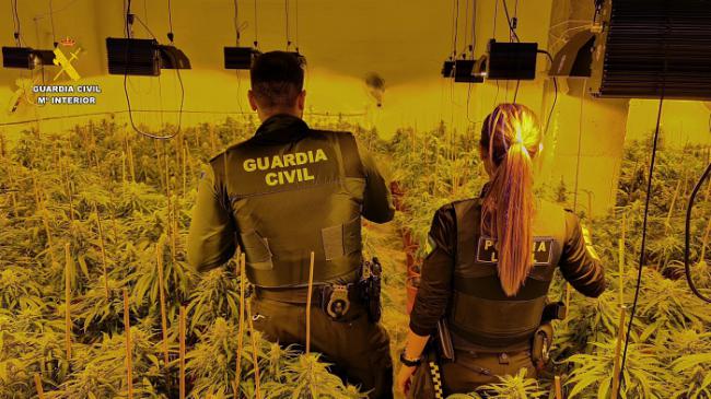 Una avería de agua permite localizar una plantación de marihuana en Vícar