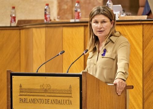El PP destaca el esfuerzo del Gobierno Andaluz para consolidar al sector de la piedra natural
