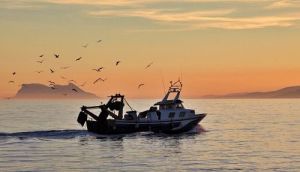 Los pescadores vuelven al mar pero decepcionados con el Gobierno