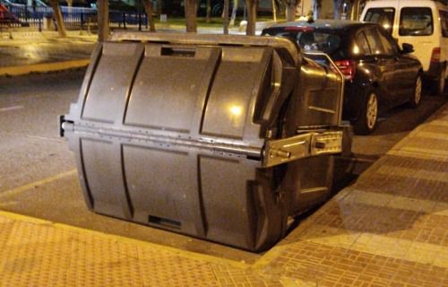 Los técnicos 'absuelven' a la palmera que mató a dos personas