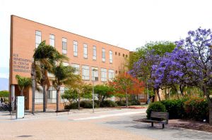 Dos de cada tres universitarios andaluces trabajan a los 4 años de terminar la carrera