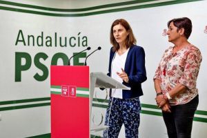 El PSOE-A critica la nueva regulación de la renta mínima