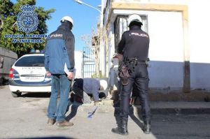 El origen delictivo de los cortes de luz en Almería llega al Parlamento
