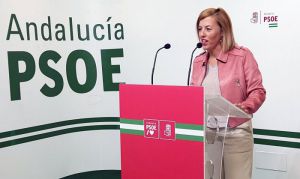 El PSOE cifra en 1.471 las viviendas de la Sareb en Almería