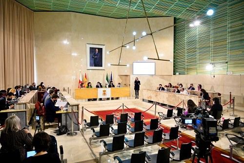 Pleno 'escoba' sin mociones de PP ni Vox