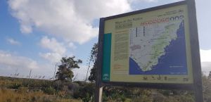 Pide más y mejor regulación del parking en Cabo de Gata