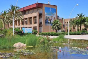 La UAL se ofrece a los universitarios marroquíes afectados por el seismo