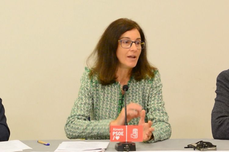 El PSOE pide que Los Millares sean conjunto monumental