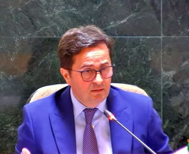 El Ejido recurrirá la sentencia del ‘Caso Poniente’ El Ejido recurrirá la sentencia del ‘Caso Poniente’