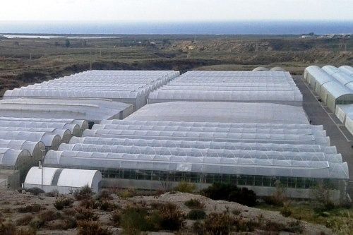 Ecologistas en Acción: Agricultura industrial causa degradación medioambiental en Almería Ecologistas en Acción: Agricultura industrial causa degradación medioambiental en Almería