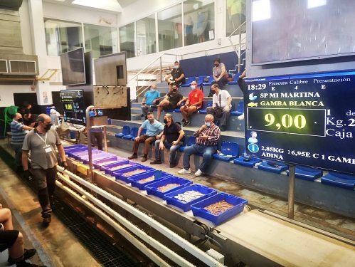 La pesca almeriense factura 7,8 millones de euros en cinco meses