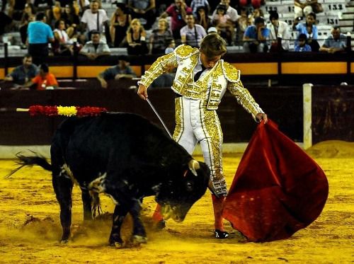La Fundación Franz Weber denuncia la promoción de la tauromaquia en menores de edad en Almería