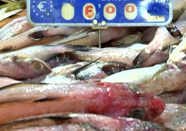 El PP vuelve a exigir la rebaja del IVA de la carne y el pescado