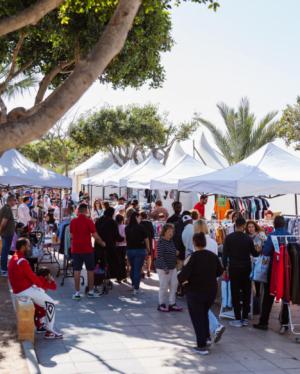 La II Feria del Libro en Campohermoso promete una jornada cultural vibrante