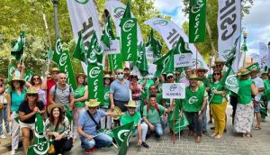 Almería cuenta con solo 59 trabajadores sociales en el SAS