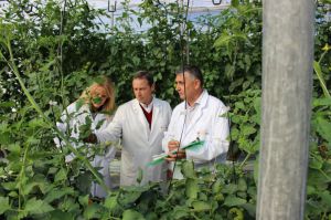 Cajamar en Fruit Attraction 2023: apoyo al agroalimentario