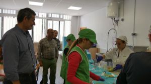 Los comedores escolares de Almería ofrecerán más de 500.000 kilos de productos ecológicos este curso