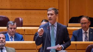 Castellón: "Sánchez oculta los datos reales de ejecución presupuestaria del AVE en Almería”