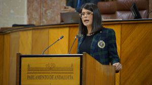 Junta destina más de 90.000 euros al comercio y artesanía en Almería