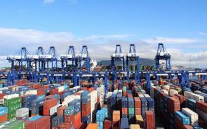 Exportaciones de Almería alcanzan 712.5 millones en enero 2025